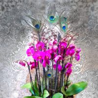 Orchideen Schale mit Pfauenfedern romantisch